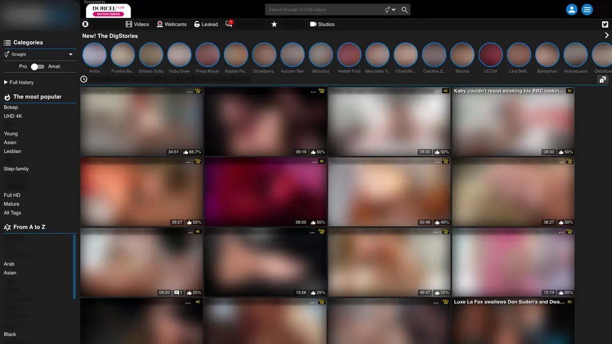 Porndig Video Downloader browser extension screenshot 2