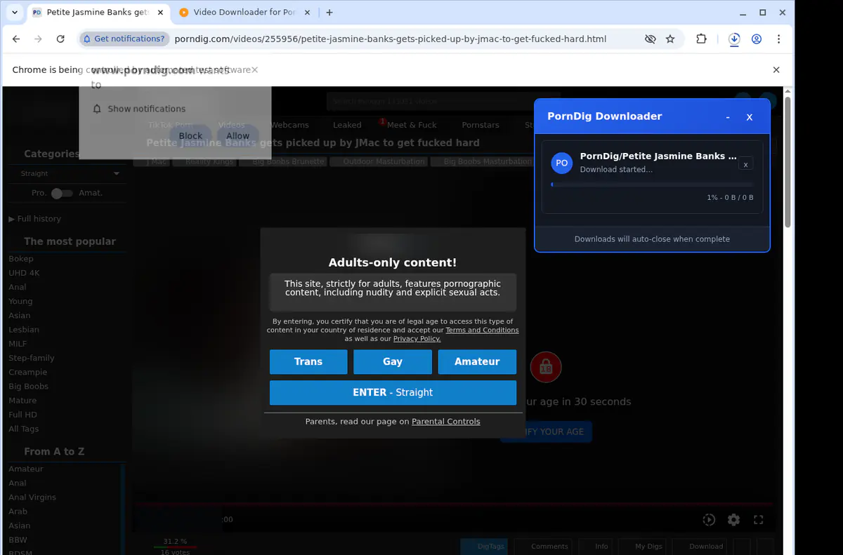 Porndig Video Downloader browser extension screenshot 3