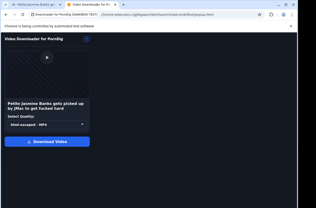 Porndig Video Downloader browser extension screenshot 4